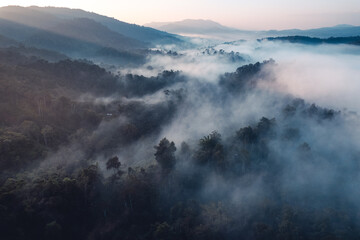 Morning fog and clouds in the hill forest