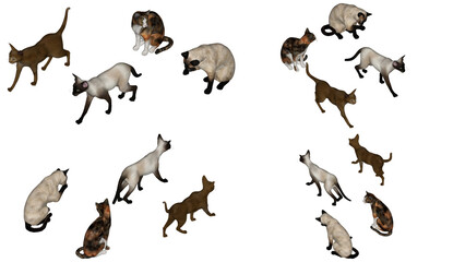 3D High Poly Cats - SET1 Color - Isometric Views