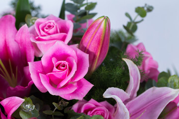 Pink rose and lily in white background and copy space
