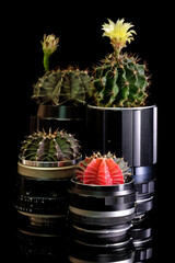 cactus pot made from old camera  lenses