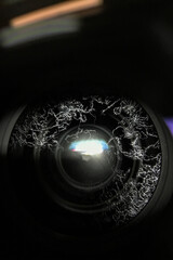 close up or macro fungus on glass camera lens