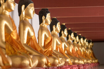 Golden Buddha statues lined up in a temple in Thailand