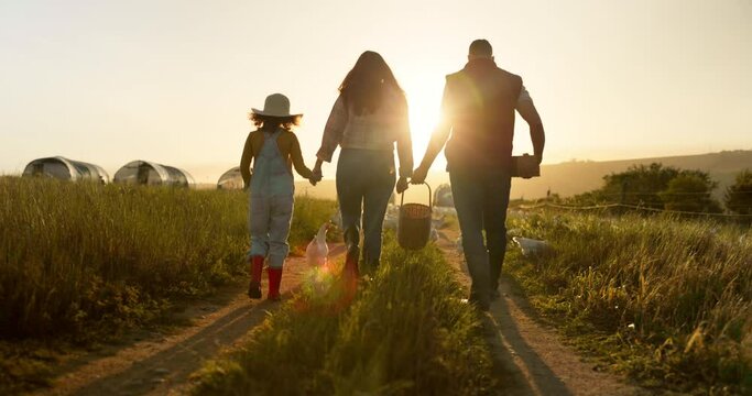 Farmer family, farm and bonding mother, father and girl on environment or countryside sustainability agriculture field. People and kid walking on an agriculture poultry or chicken field during sunset