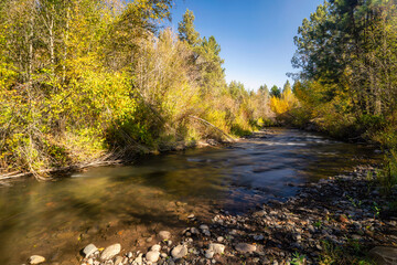 Fototapeta na wymiar Fall Color Leaves and Trees surrounding Whychus Creek in Oregon