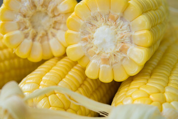 Sweet Corn on white background, Yellow Sweet corn on wood  background , Yellow Corn, sweet corn, healthy organic food, bio nutrition