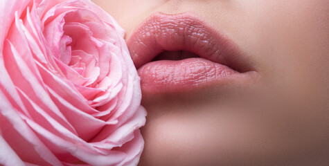 Close-up sexy woman natural lips and pink rose. Banner of lips with lipstick closeup. Beautiful woman lips with rose.