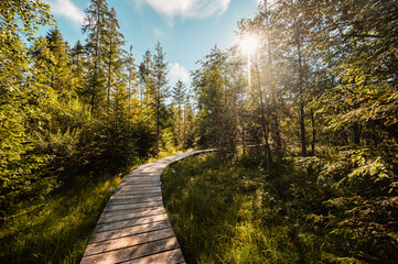 Mountain landscape in Slovakia mountains, Juranova dolina - valley in The Western Tatras national park, oravice, Orava region. Educational trail through the bog © Zedspider
