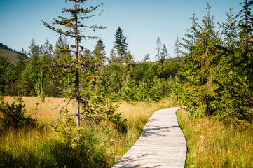 Mountain landscape in Slovakia mountains, Juranova dolina - valley in The Western Tatras national park, oravice, Orava region. Educational trail through the bog © Zedspider