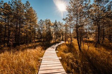 Mountain landscape in Slovakia mountains, Juranova dolina - valley in The Western Tatras national park, oravice, Orava region. Educational trail through the bog © Zedspider