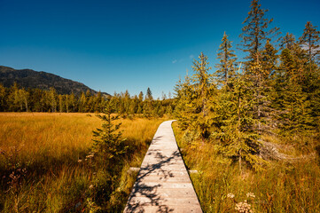 Mountain landscape in Slovakia mountains, Juranova dolina - valley in The Western Tatras national park, oravice, Orava region. Educational trail through the bog © Zedspider