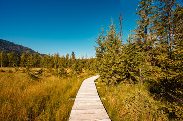 Mountain landscape in Slovakia mountains, Juranova dolina - valley in The Western Tatras national park, oravice, Orava region. Educational trail through the bog © Zedspider