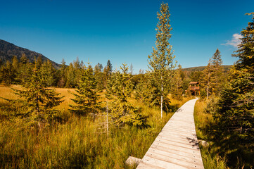 Mountain landscape in Slovakia mountains, Juranova dolina - valley in The Western Tatras national park, oravice, Orava region. Educational trail through the bog © Zedspider