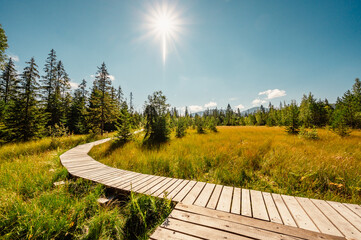Mountain landscape in Slovakia mountains, Juranova dolina - valley in The Western Tatras national park, oravice, Orava region. Educational trail through the bog © Zedspider