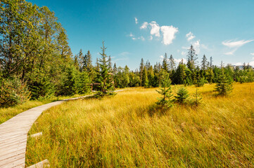 Mountain landscape in Slovakia mountains, Juranova dolina - valley in The Western Tatras national park, oravice, Orava region. Educational trail through the bog © Zedspider