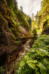 Mountain landscape in mountains, Juranova dolina - valley in The Western Tatras national park. Slovakia, oravice, Orava region. © Zedspider