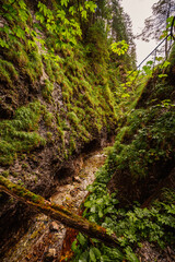 Mountain landscape in mountains, Juranova dolina - valley in The Western Tatras national park. Slovakia, oravice, Orava region. © Zedspider