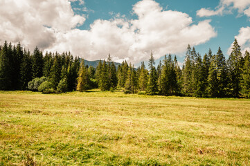 Mountain landscape in mountains, Juranova dolina - valley in The Western Tatras national park. Slovakia, oravice, Orava region. © Zedspider