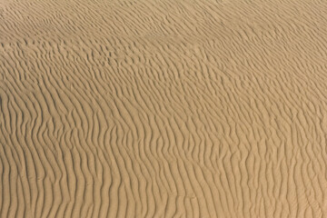 Namibia, the Namib desert, graphic landscape of yellow dunes, background

