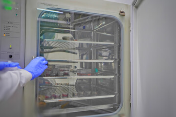 The researcher open the incubator cabinet to keep cell culture in the incubator cabinet. The lab test in the laboratory room.