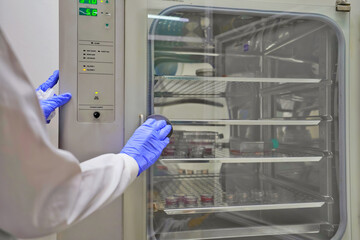 The researcher open the incubator cabinet to keep cell culture in the incubator cabinet. The lab test in the laboratory room.