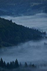 Fototapeta premium Landscape of a valley covered by mist in the early autumn morning