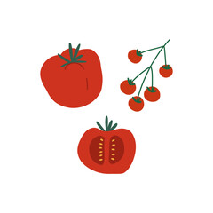Hand draw Tomatos.Healthy vegetarian vegetable.Fresh organic natural eating