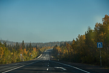 Highway through the autumn forest. Autumn forest highway