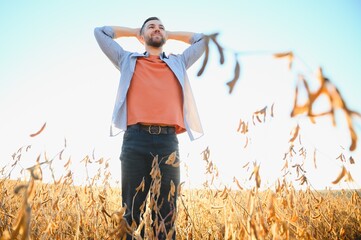 Agronomist inspecting soya bean crops growing in the farm field. Agriculture production concept. young agronomist examines soybean crop on field in summer. Farmer on soybean field.