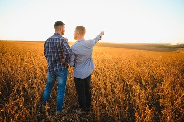 Two farmers standing in a field examining soybean crop before harvesting. - obrazy, fototapety, plakaty