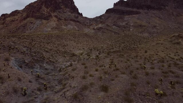 Aerial footage of Mountains and Cactuses near Oatman and Route 66 in Arizona