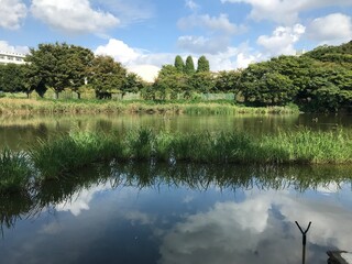 湖沼の風景