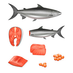 Realistic raw salmon set. Whole fish, peeled fillet, steak caviar for restaurant menu. Marine meal