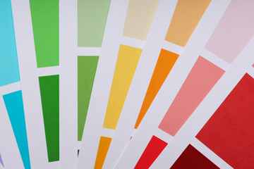 Naklejka premium Concept of colors for design, color palettes