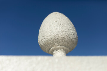Detail of old architecture of hedge. White fence.