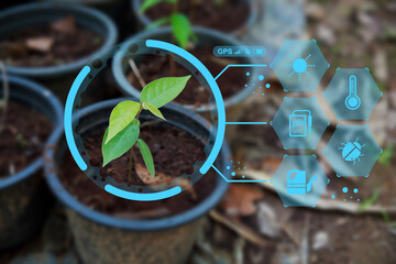 Young plant with cyber display of technological smart farming agriculture.