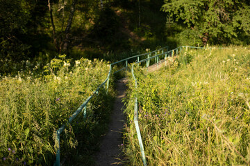 Obraz premium Bridge in park. Trail in ecological zone. Details of National Park.