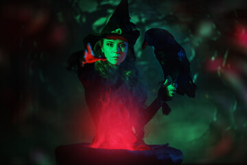 witch with raven