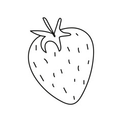 Hand drawn strawberry vector illustration