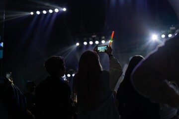 Fototapeta na wymiar people at concert