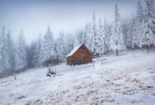 Frosty winter view of abandoned mountain village with old wooden chalet. Misty morning scene of mountain forest, Carpathians, Ukraine. Traveling concept background..
