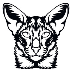 Oriental Shorthair Cat Vector, Peeking Cats, Cats Breed, Pet Vector portrait, Cats Head