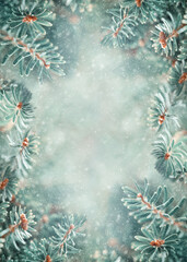 Beautiful Blue Fir Tree Branches in Snowy Forest. Christmas and Winter concept. Soft focus.