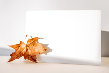 Invitation card mockup with autumn maple tree leaves on beige pastel background with shadow. Template blank of white paper mock up for branding and advertising. Top view, flat lay, copy space.