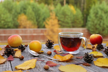 A glass mug of hot tea is among foliage, fruit, cones and nuts on a wooden table on the autumn...