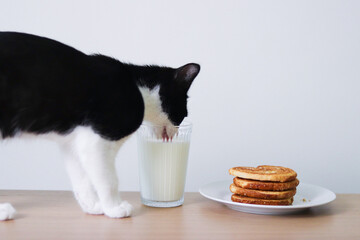 Kitten with milk and pie