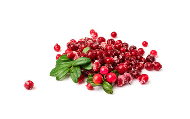 Frozen Cowberry, Iced Lingonberry