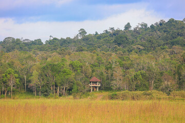 A watchtower in a wildlife sanctuary in Thailand