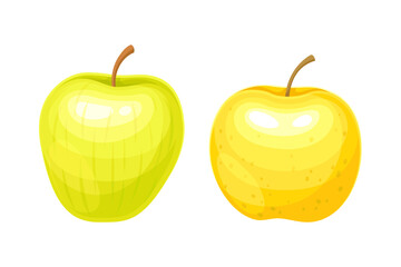 Whole Ripe Apple Fruit as Organic Garden Crop Vector Set