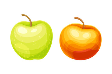 Whole Ripe Apple Fruit as Organic Garden Crop Vector Set