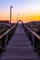 Fototapeta premium Summer